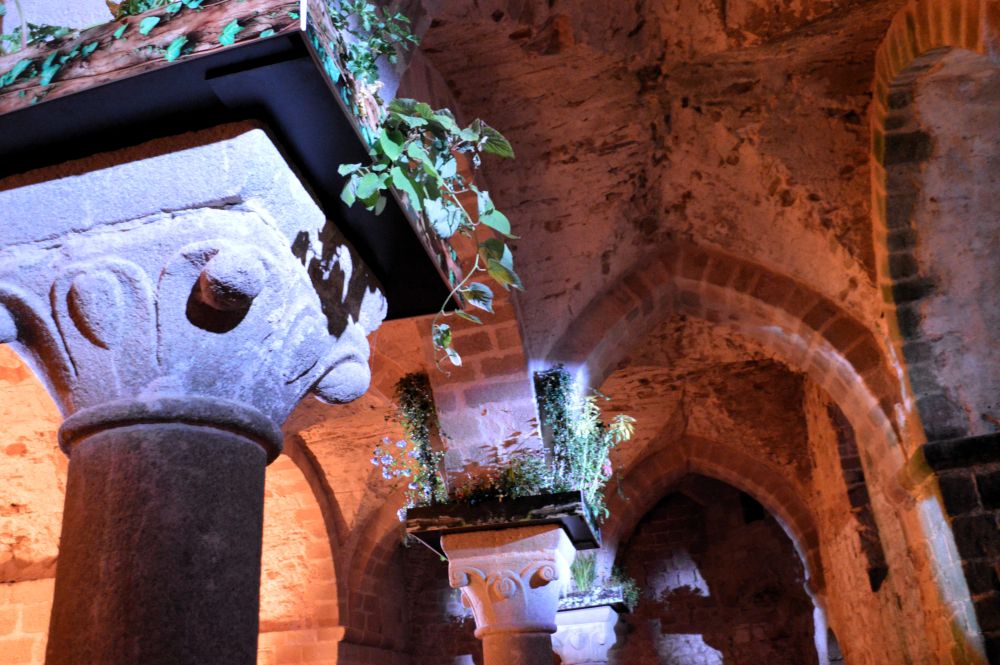 parcours nocturne de l'abbaye du Mont Saint Michel : des plantes sur les chapiteaux des piliers