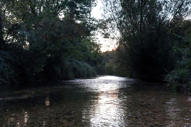 une rivière entourée d'arbres dans la lumière déclinante de la fin de journée.