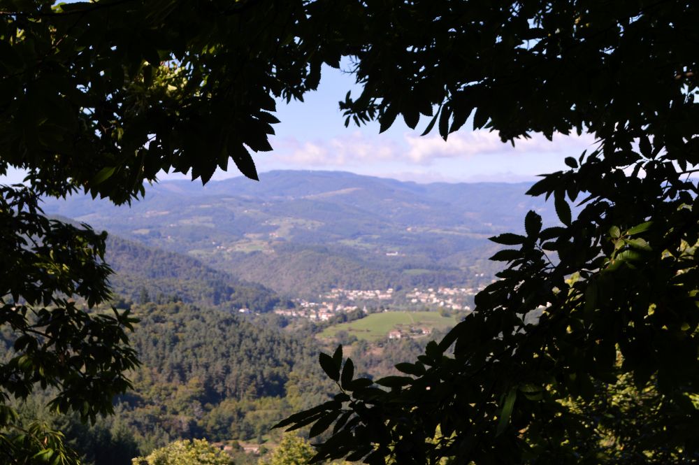 vue sur la vallée dans une trouée de feuillages de châtaigniers