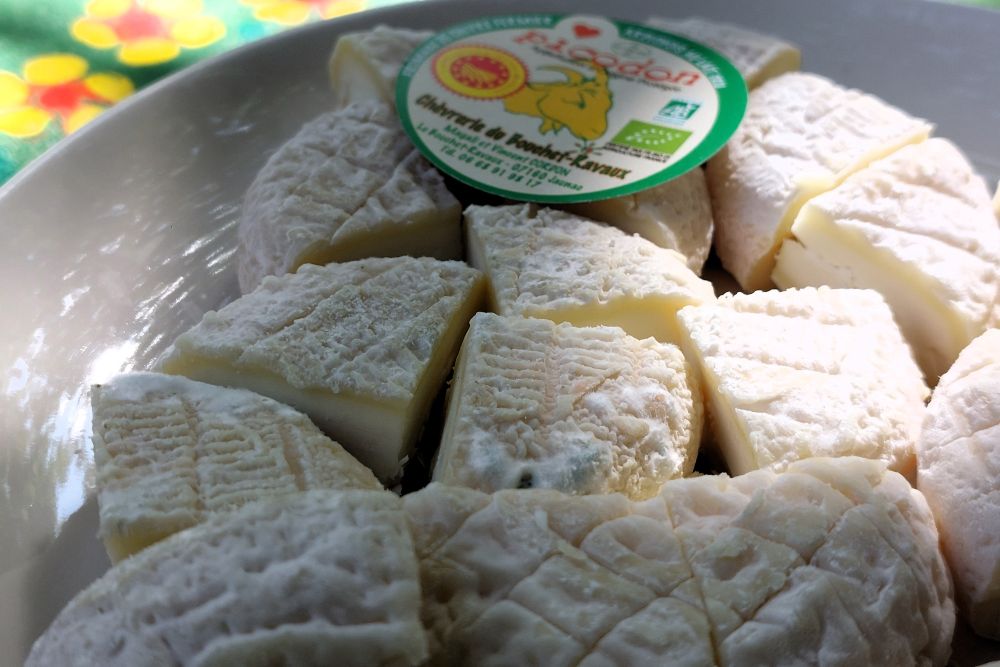 picodons de la chèvrerie Bouchet Ravaux