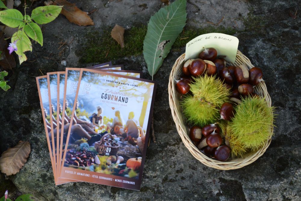 des programmes du festival l'Automnal Gourmand et des châtaignes