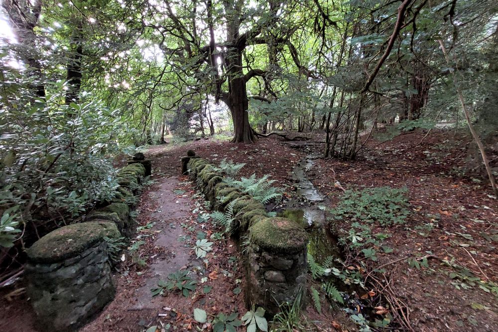 un petit pont de pierre au milieu de la forêt