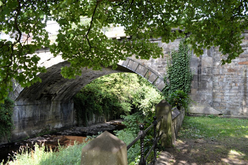 pont en pierre dans la végétation
