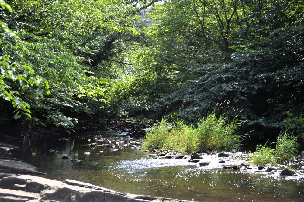 Le long de la Water of Leith