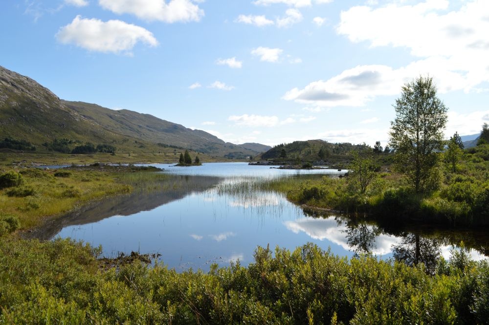 Loch Cluanie Viewpoint