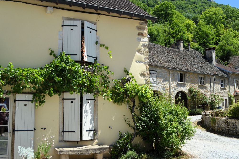 façade maison de village avec une vigne grimpante