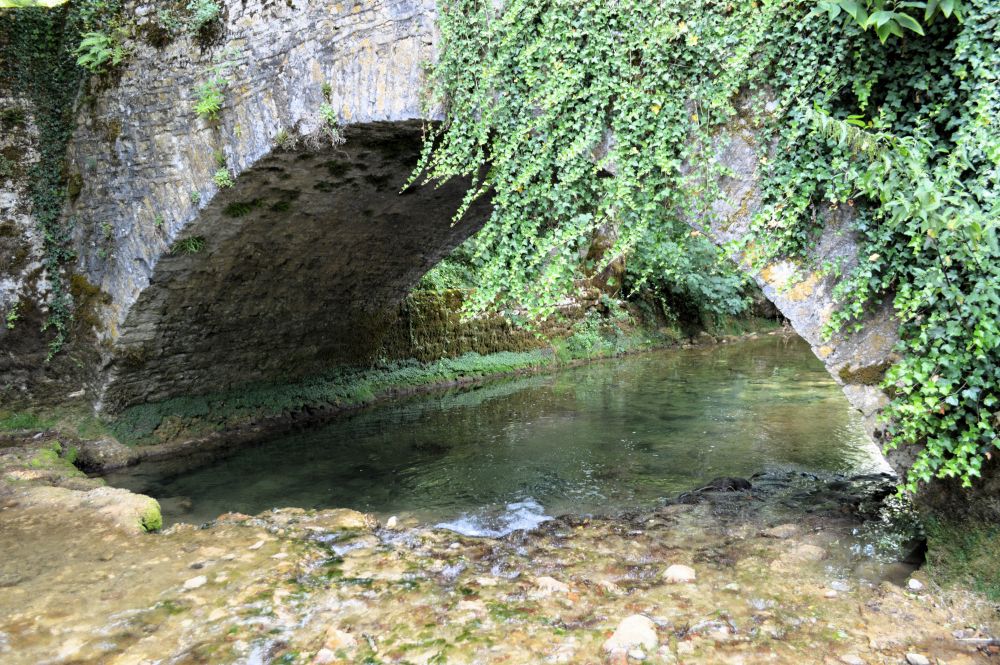 pont de pierre couvert de lierre au dessus d'une rivière
