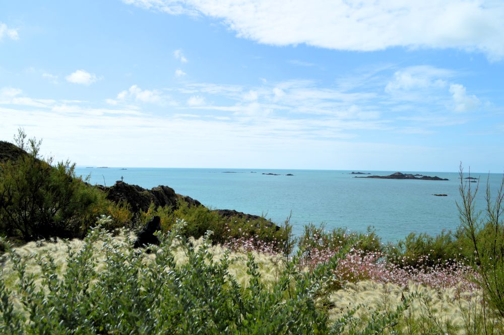 point de vue sur la mer depuis le site des rochers sculptés de Rothéneuf