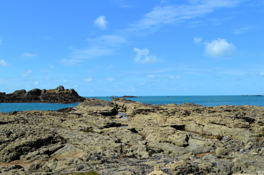 marée basse au pied des rochers sculptés de Rothéneuf
