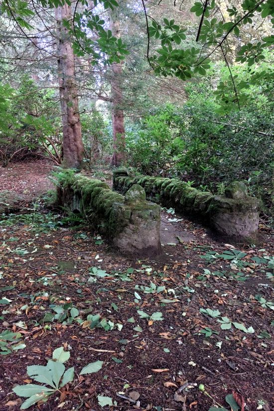 petit pont en pierre couverte de mousse dans la forêt