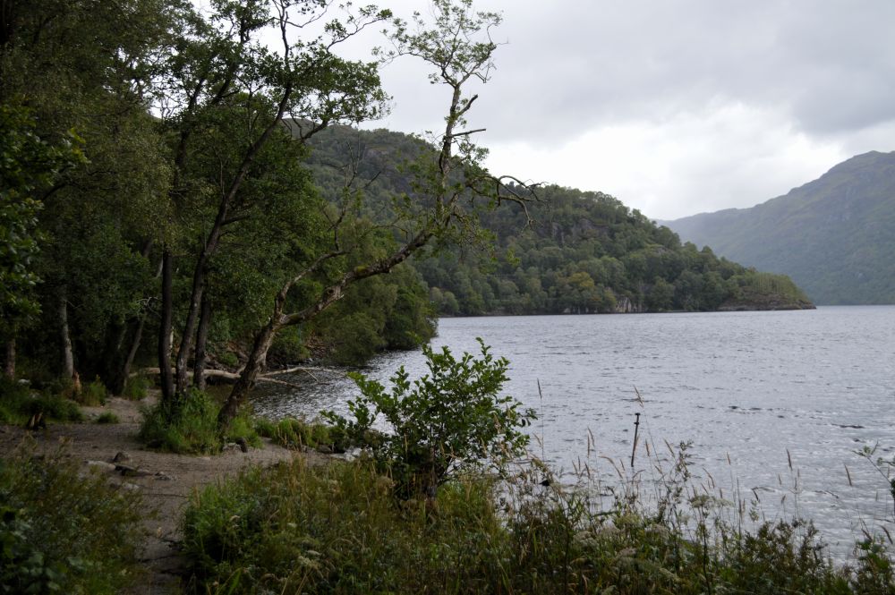 une petit plage entourée de forêt au bord d'un loch en Ecosse