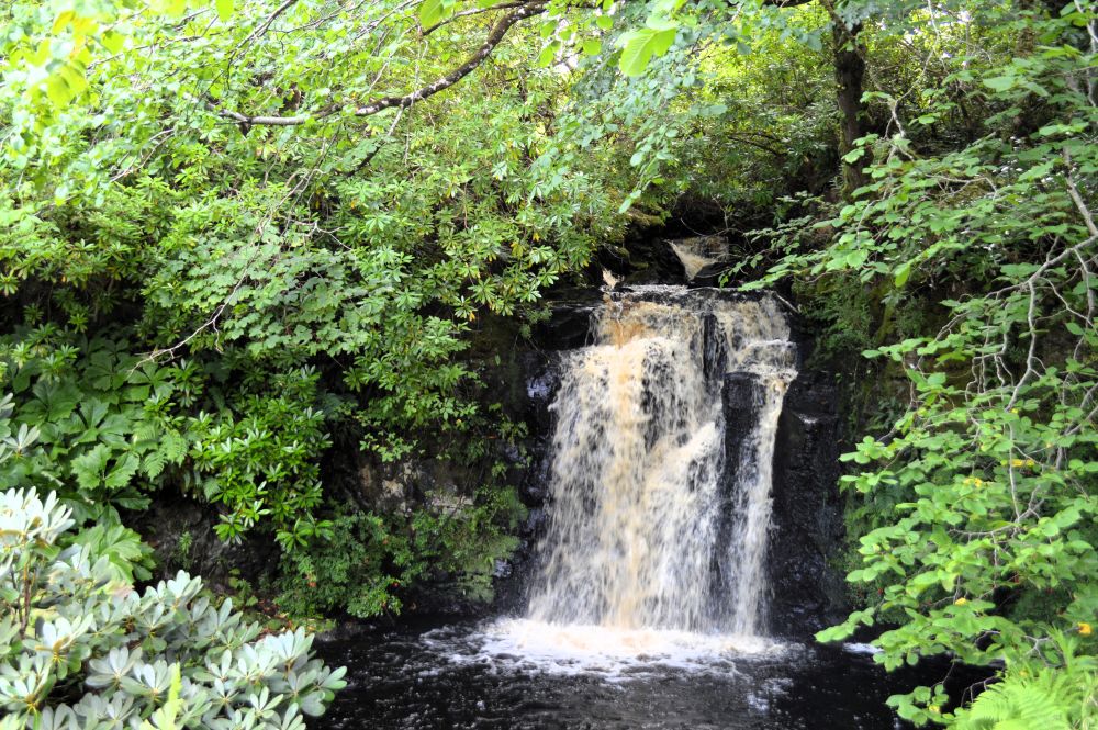 cascade dans les jardins de Dunvegan Castle