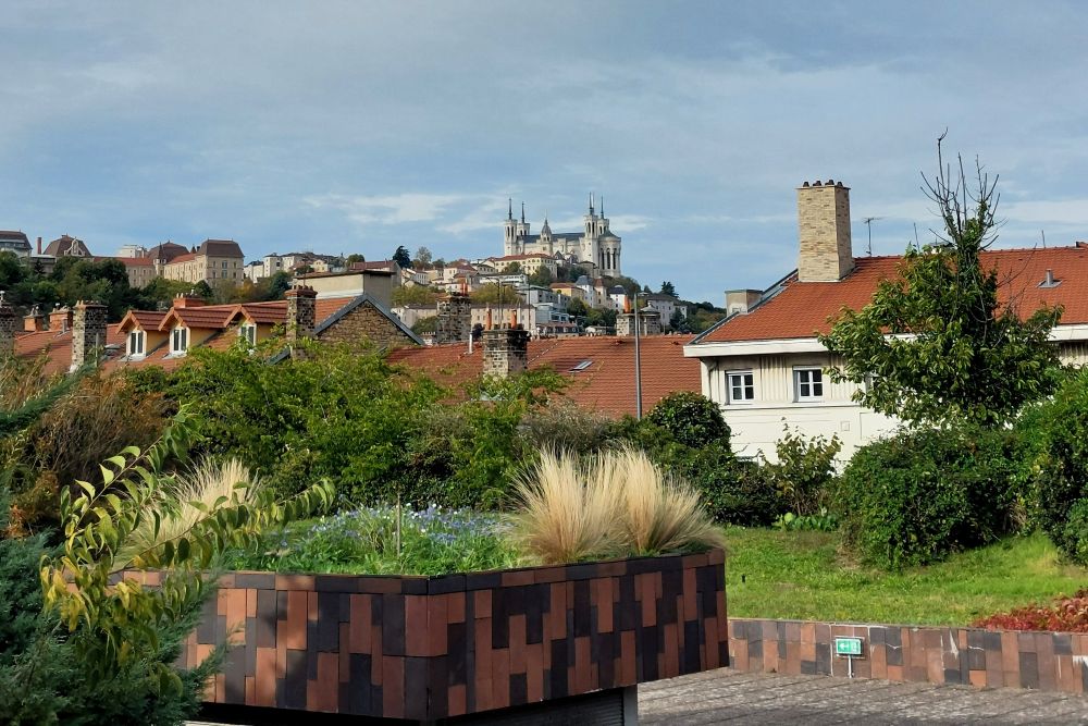 vue sur Lyon et la basilique de Fourvière depuis les jardins suspendus de Perrache