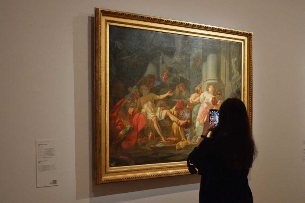 personne prenant une photo dans l'exposition temporaire Jacques Louis David au musée du Louvre