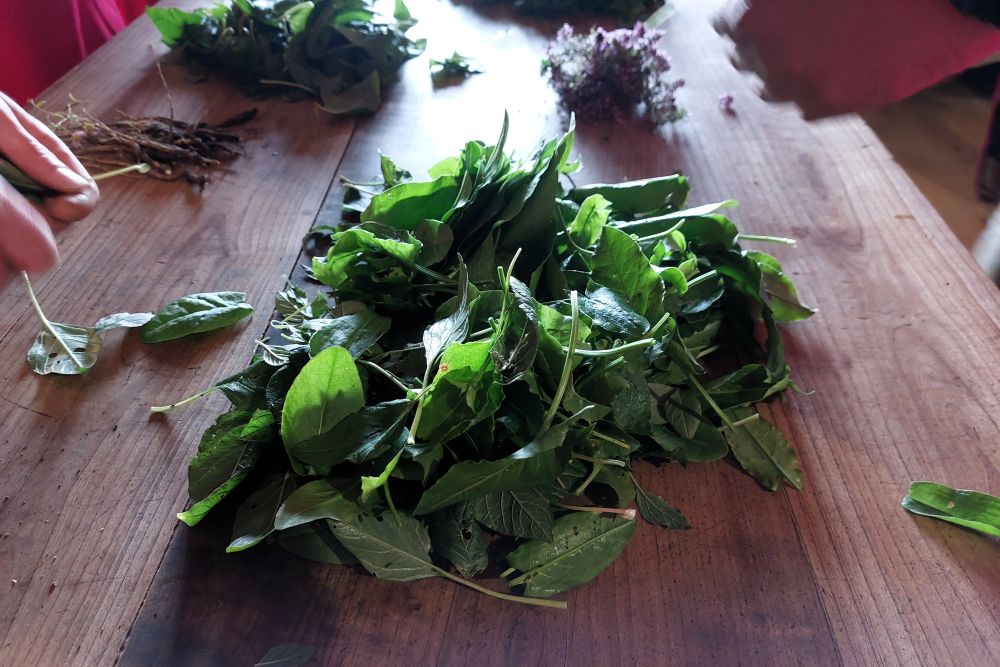 un tas de feuilles d'oseille sur une table en bois