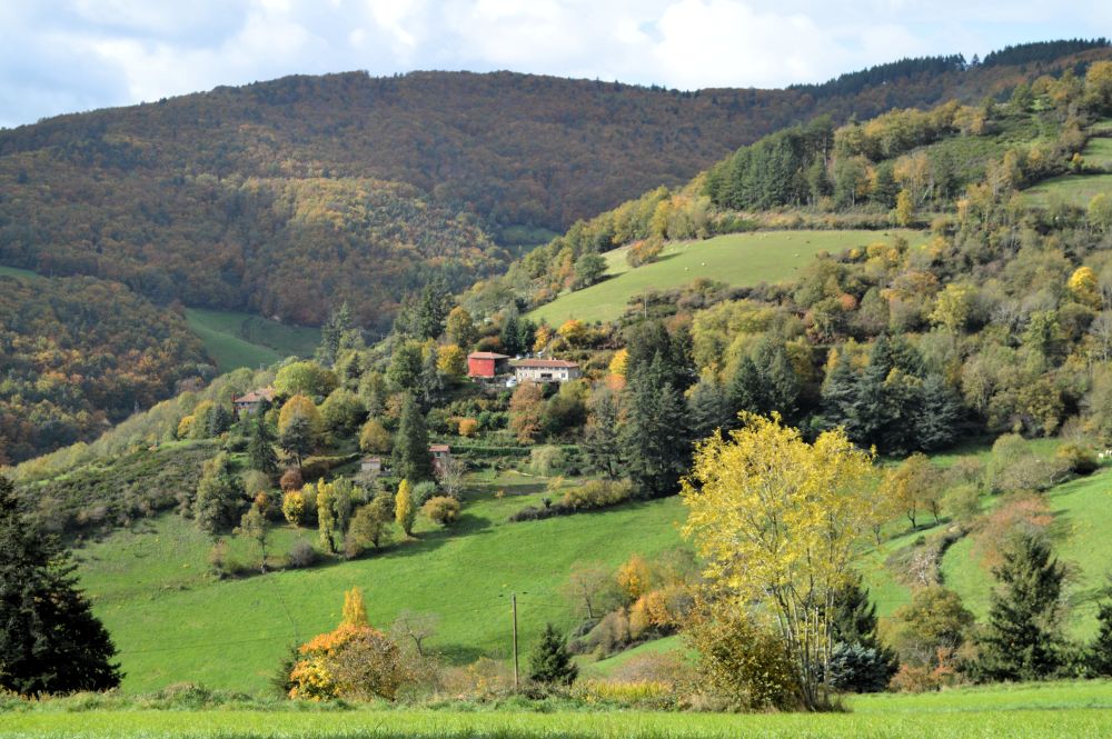 paysage des monts du Lyonnais en automne