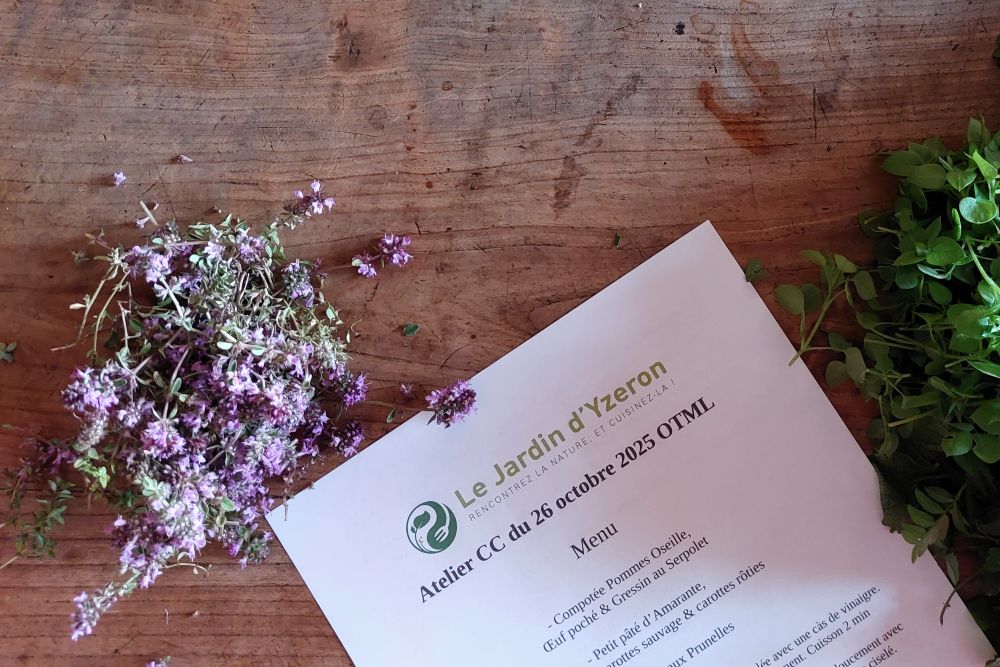 thym serpolet en fleur et menu du jour