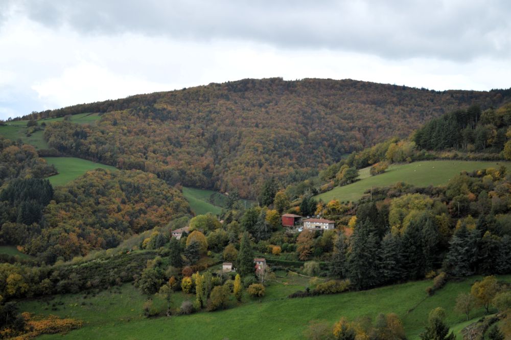 paysage des monts du Lyonnais en automne