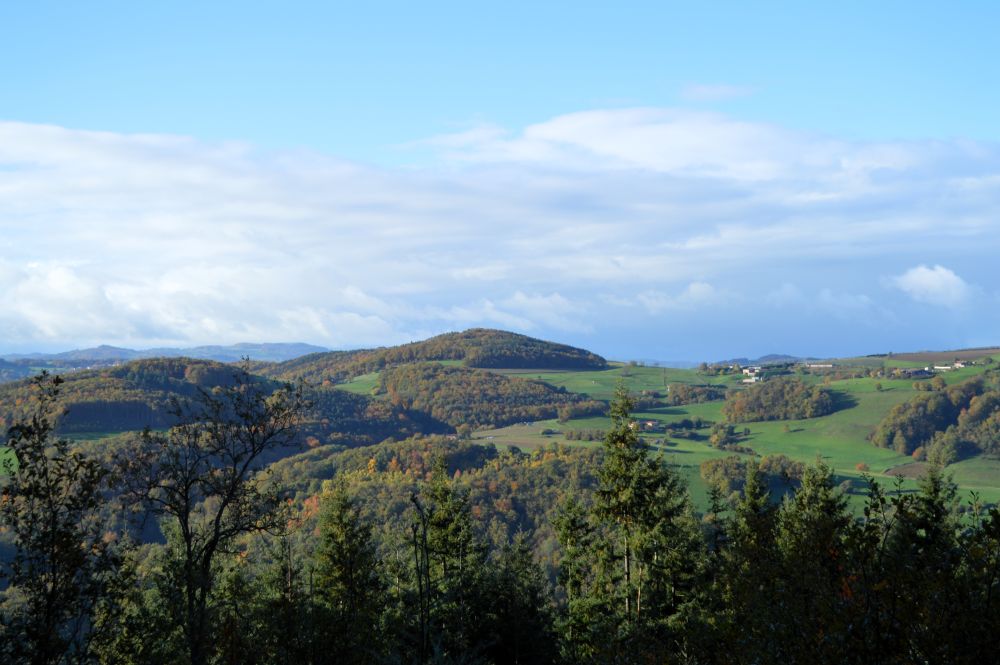 paysage des monts du Lyonnais