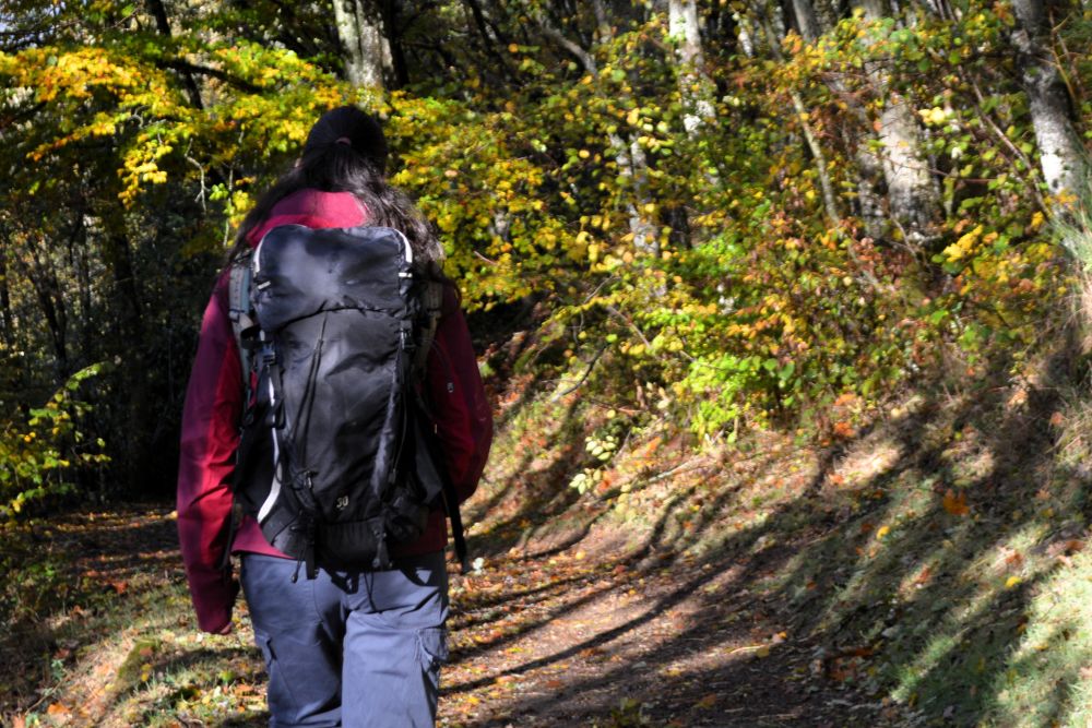 personne de dos avec un sac à dos dans la foret en automne
