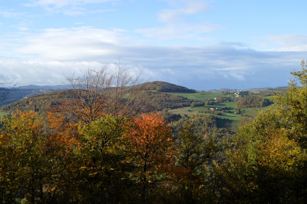 paysage de collines en automne