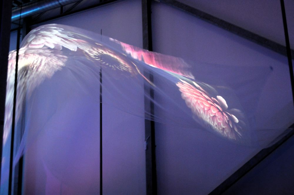 Installation artistique de Yann Nguema