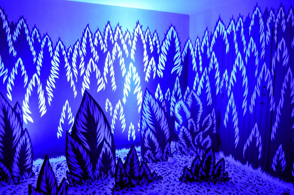 oeuvre immersive Twin Peaks en Royans de Nicolas Badout