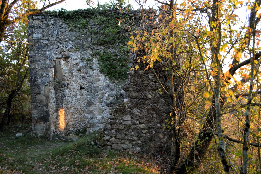 ruines médiévales dans la forêt