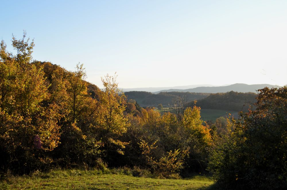 paysage de campagne vallonné en automne