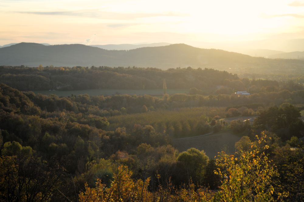 un coucher de soleil sur une campagne vallonée