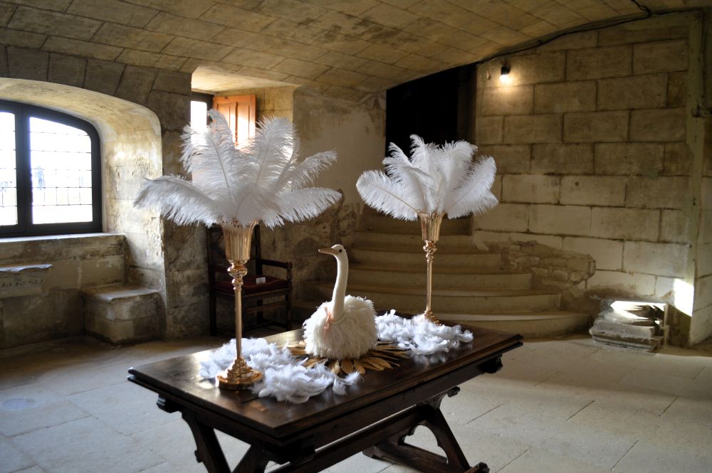 cygne reconstitué sur une table entre deux bouquets de plumes
