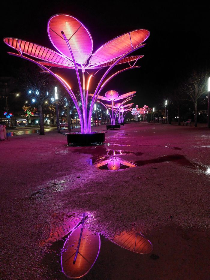 installation lumineuse en forme de plante verte géante, de nuit