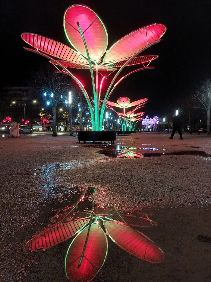 installation lumineuse en forme de plante verte géante, de nuit