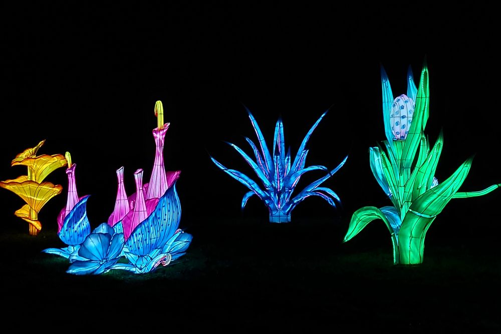 fleurs en lanternes chinoises