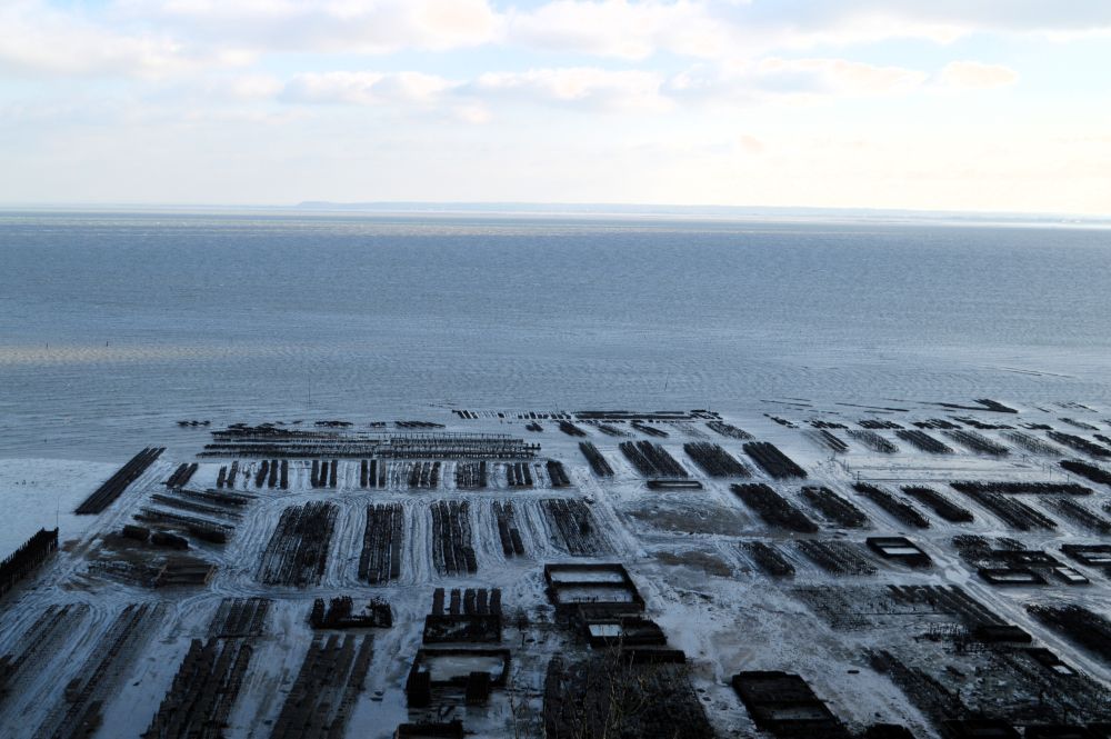 parcs à huitres à Cancale