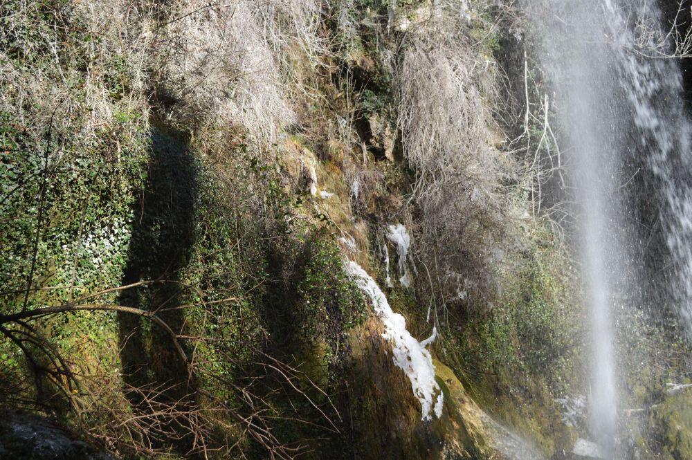 végétation légèrement givrée au bord d'une cascade