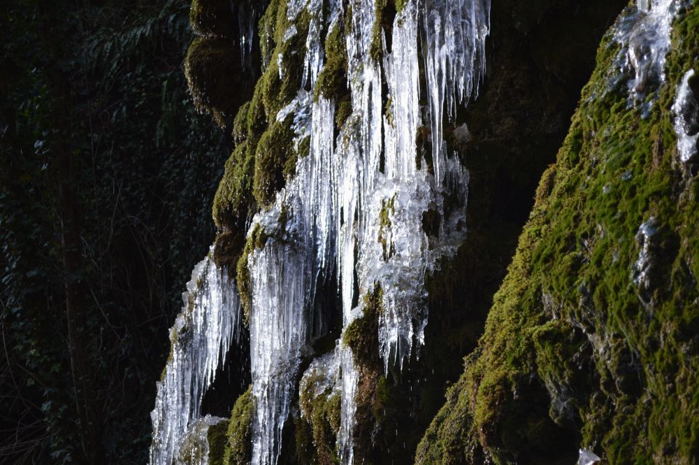stalactites de glace aux abords de la cascade de la Pissoire dans les gorges d'Omblèze en hiver