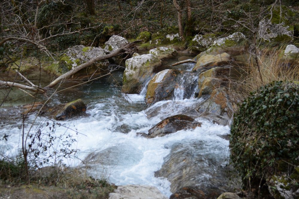 torrent de montagne