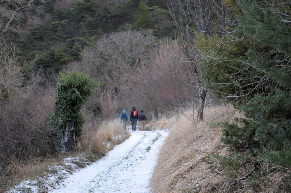 3 randonneurs sur un chemin avec un peu de neige