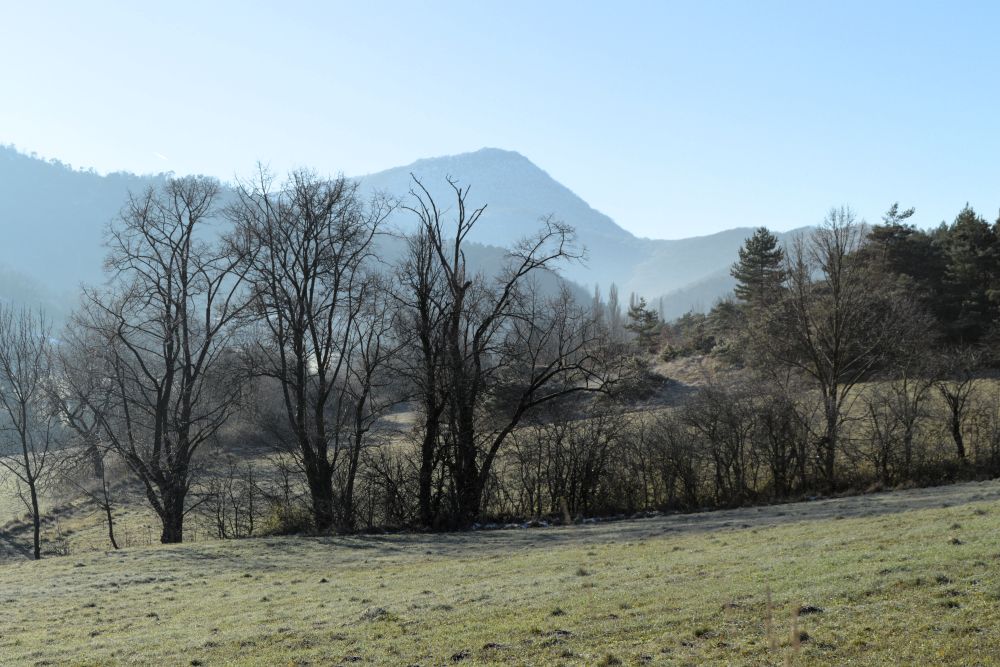 un champ givré au pied du Vercors
