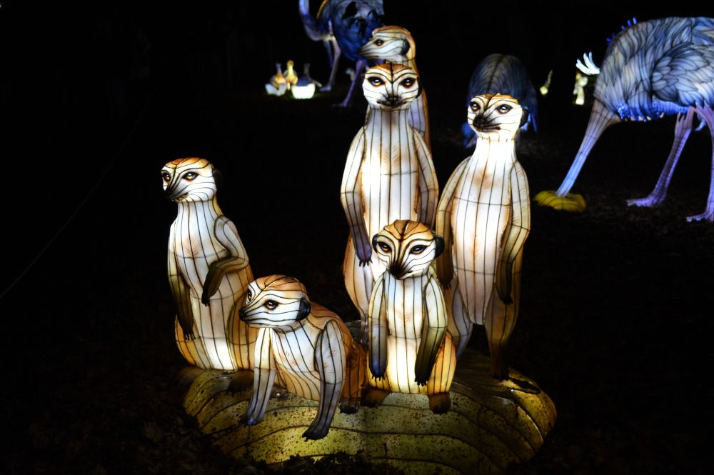 Sculptures lumineuses en forme de suricates