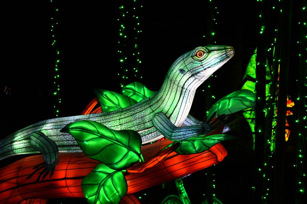 Sculptures lumineuses en forme de varan sur une branche