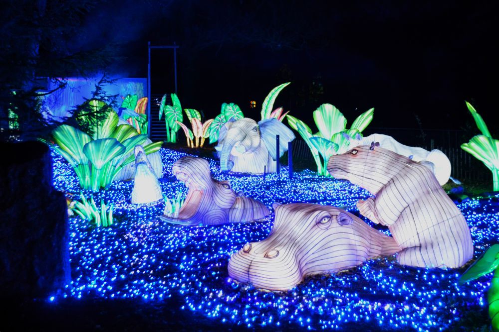 Sculptures lumineuses en forme d'hippopotames