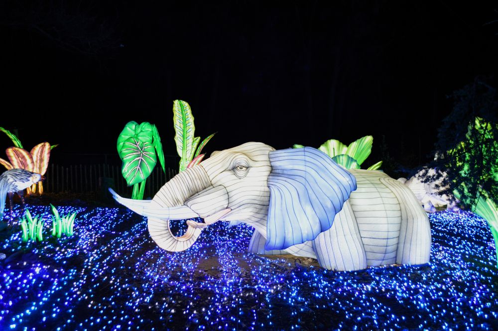 Sculptures lumineuses en forme d'éléphant
