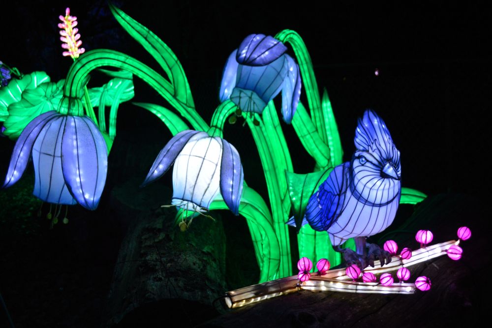 Sculptures lumineuses en forme de fleurs et d'oiseau