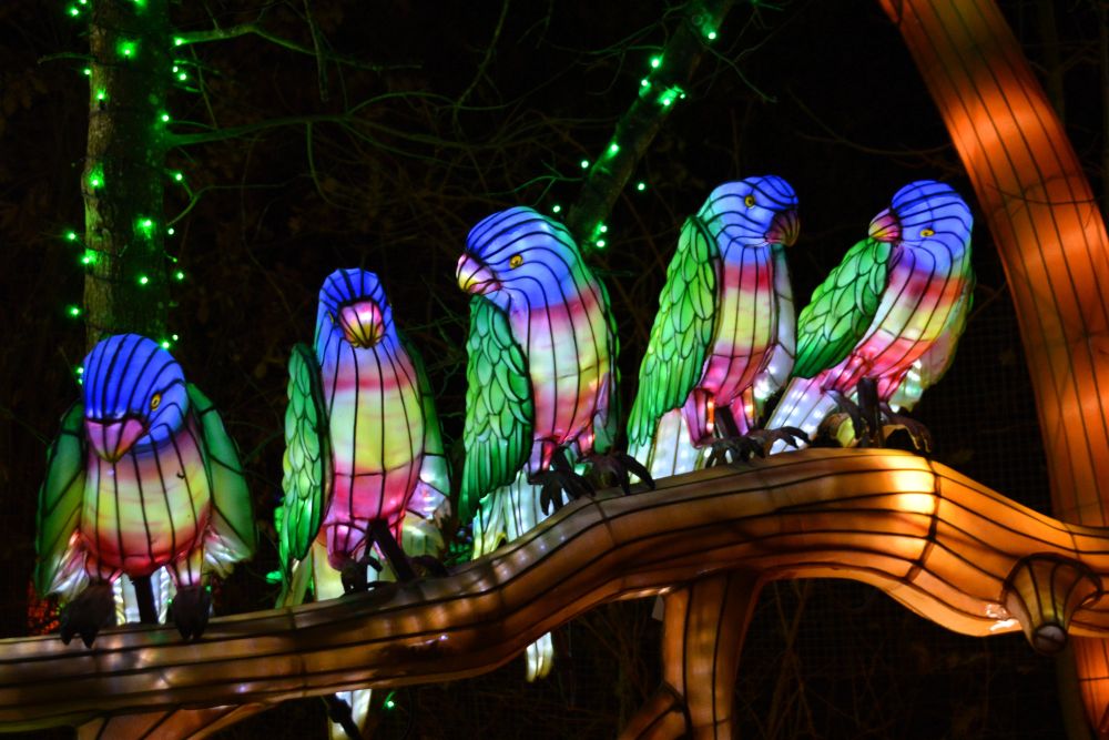 Sculptures lumineuses en forme de perroquets sur une branche