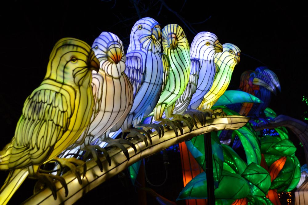 Sculptures lumineuses en forme d'oiseaux sur une branche