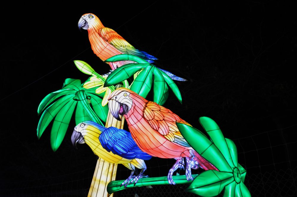 Sculptures lumineuses en forme de perroquets