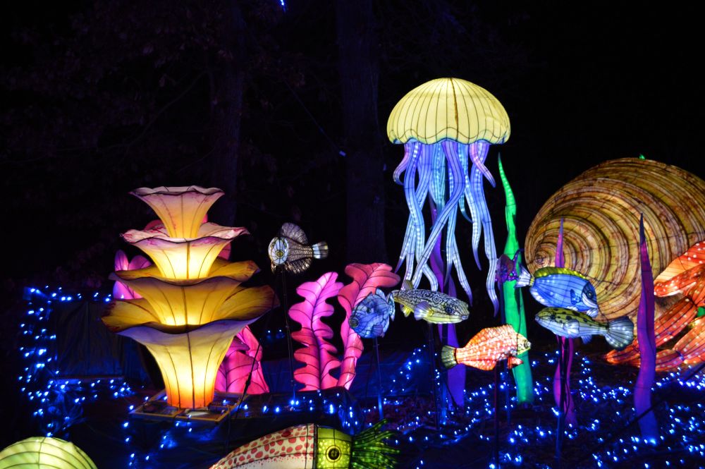 Sculptures lumineuses en forme de pieuvres et d'anémones marines