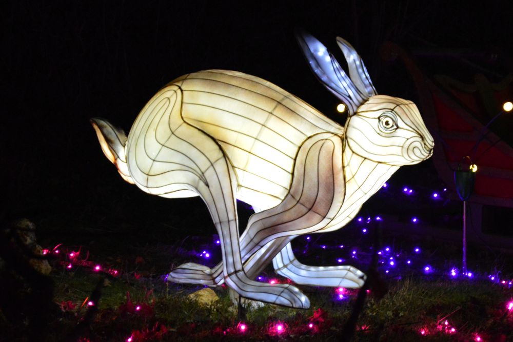 Sculptures lumineuses en forme de lièvre